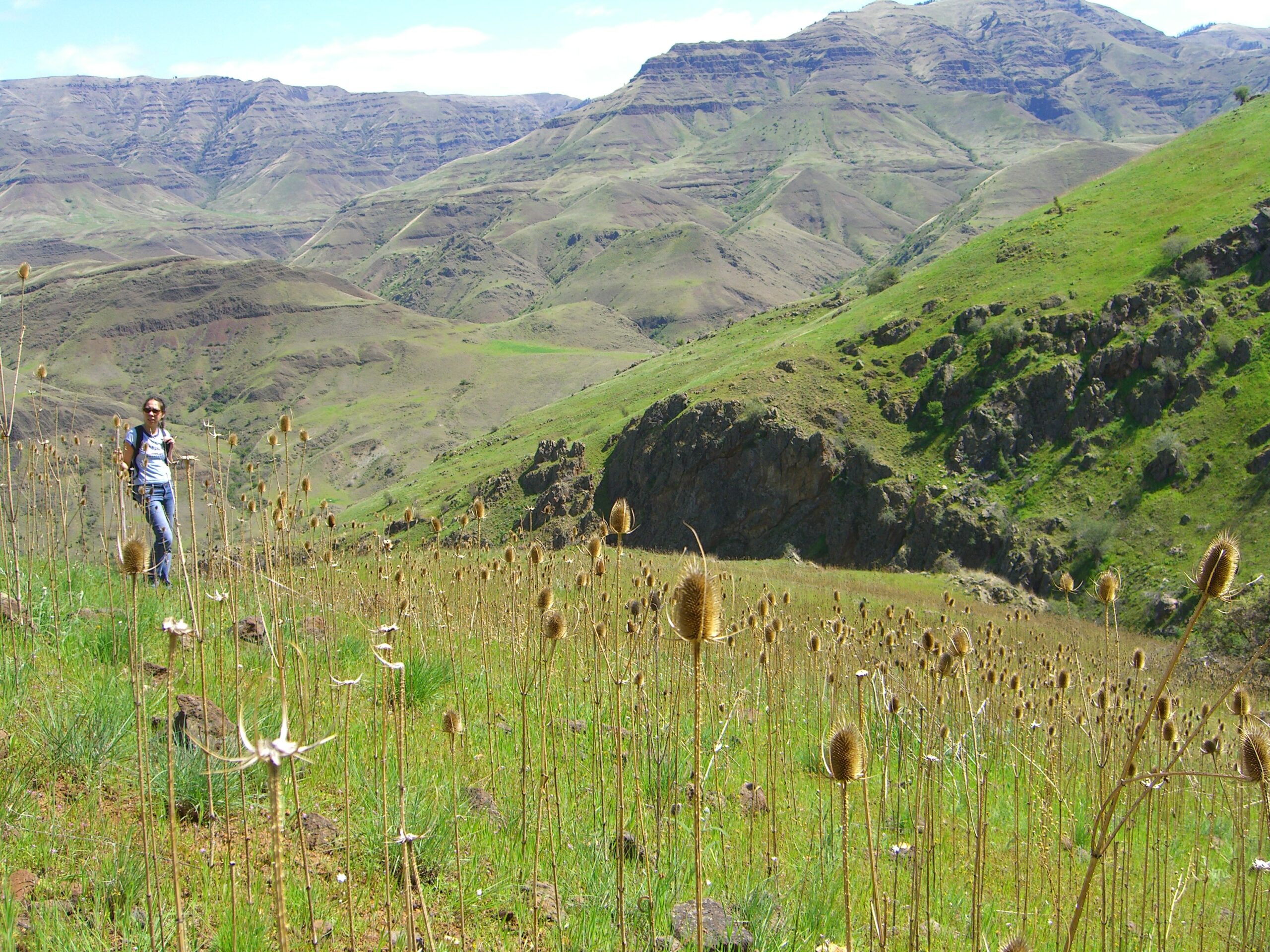 A hiker trudges up the mountains behind Copper Creek Lodge in Hells Canyon
