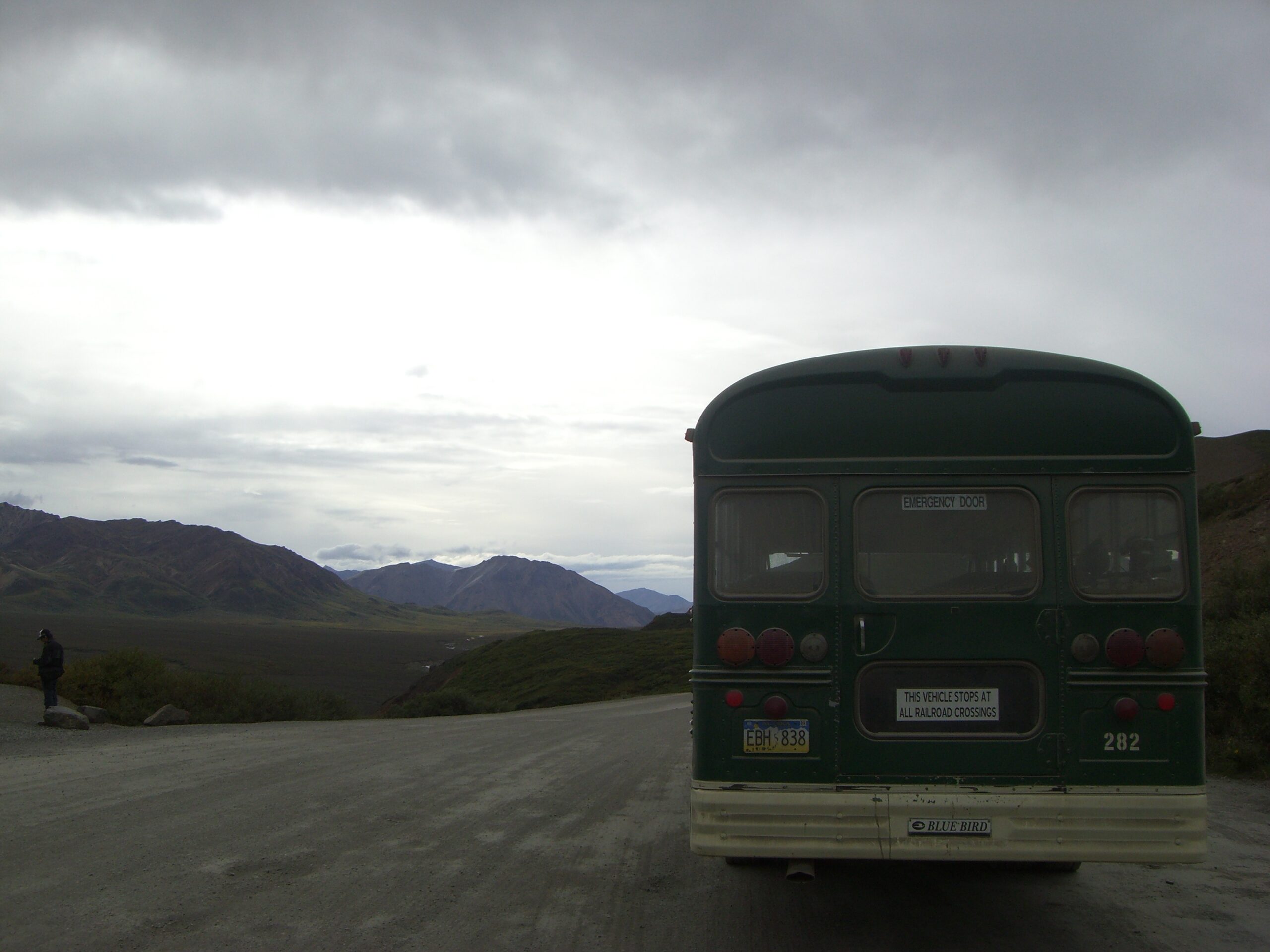 The Denali Park shuttles look like school buses stolen by Smokey the Bear.