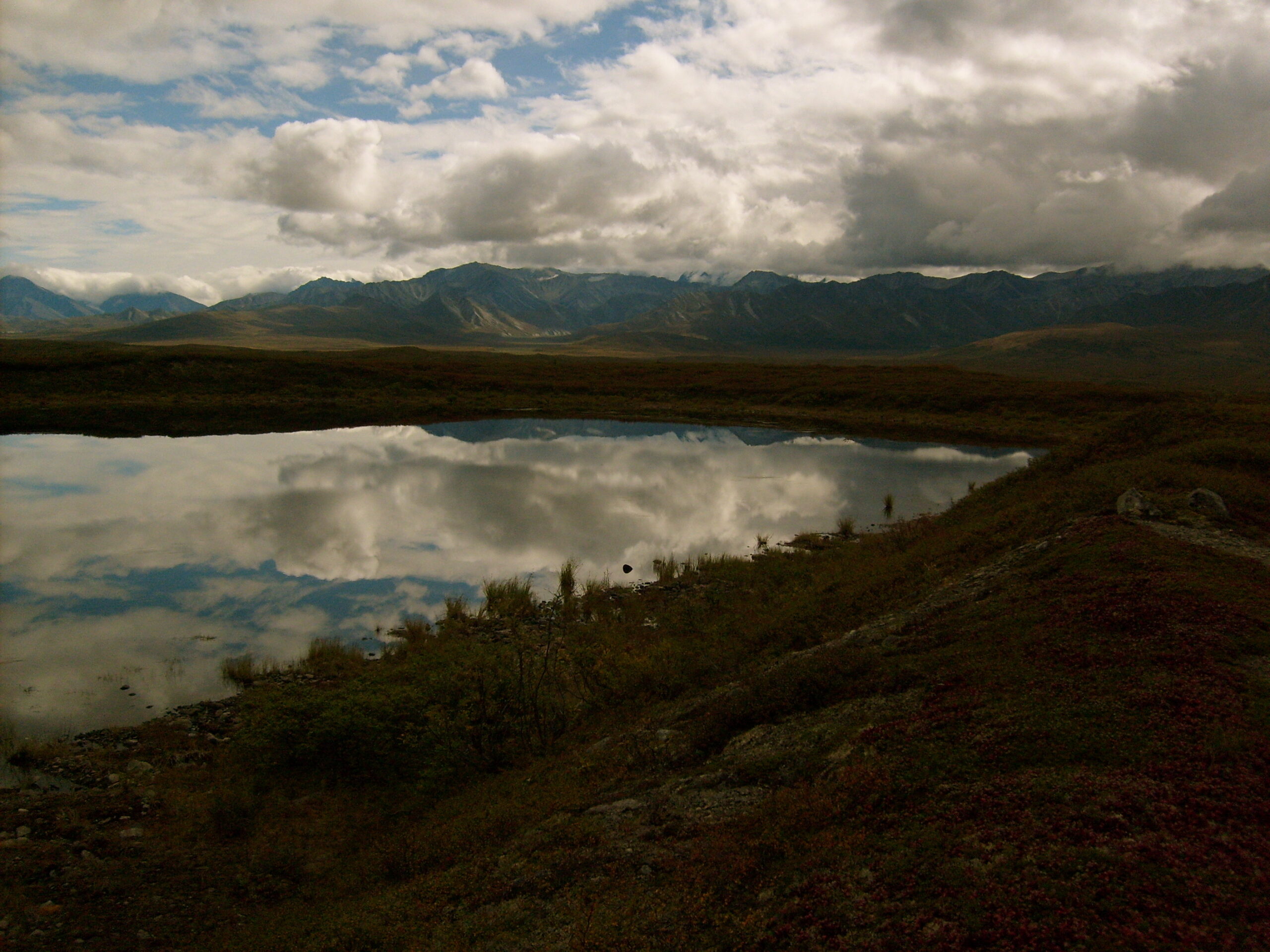 Mountain lakes can be seen throughout Denali National Park.