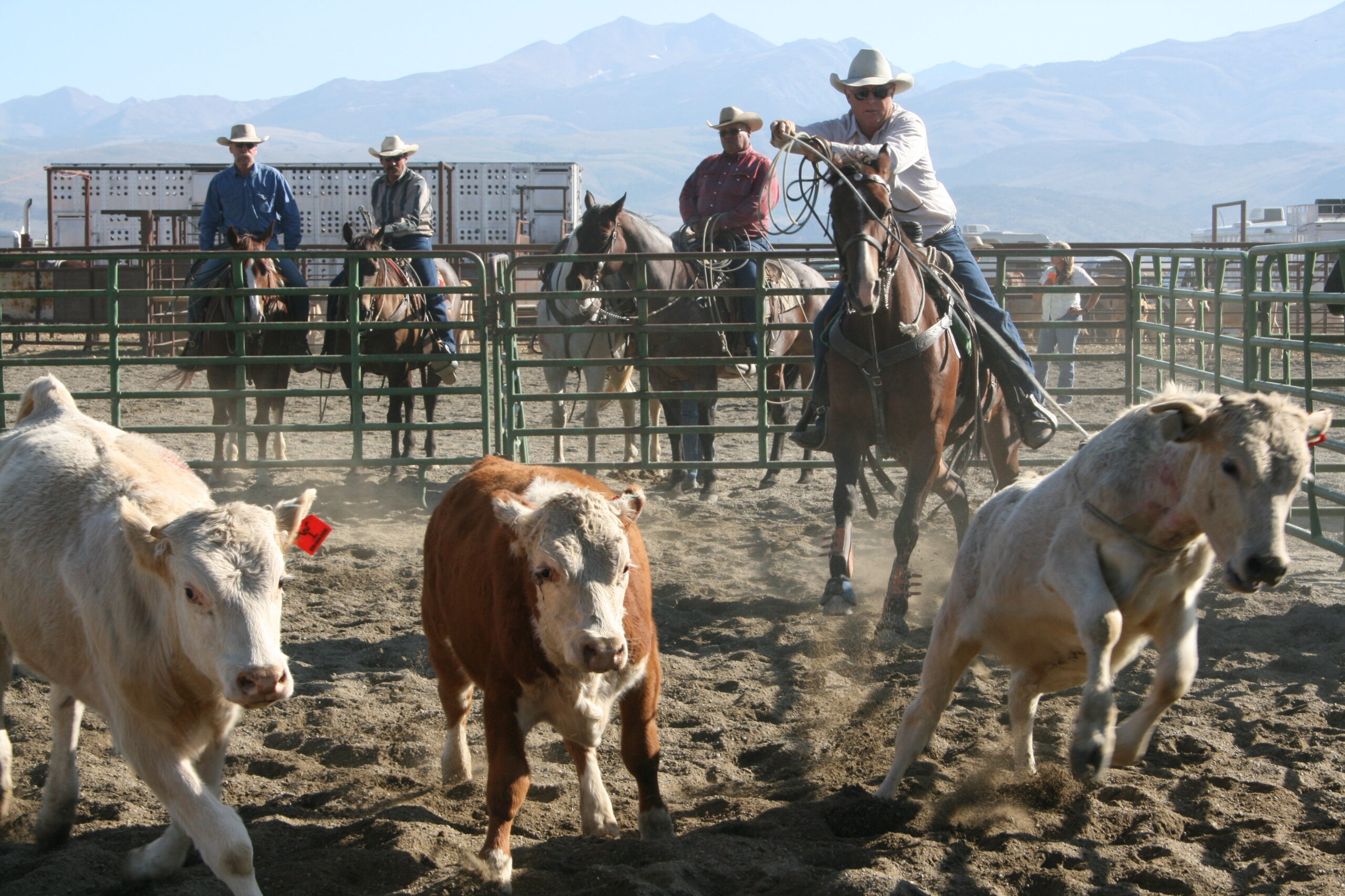 Team Branding at rodeo near Tuolumne Meadows in Bridgeport