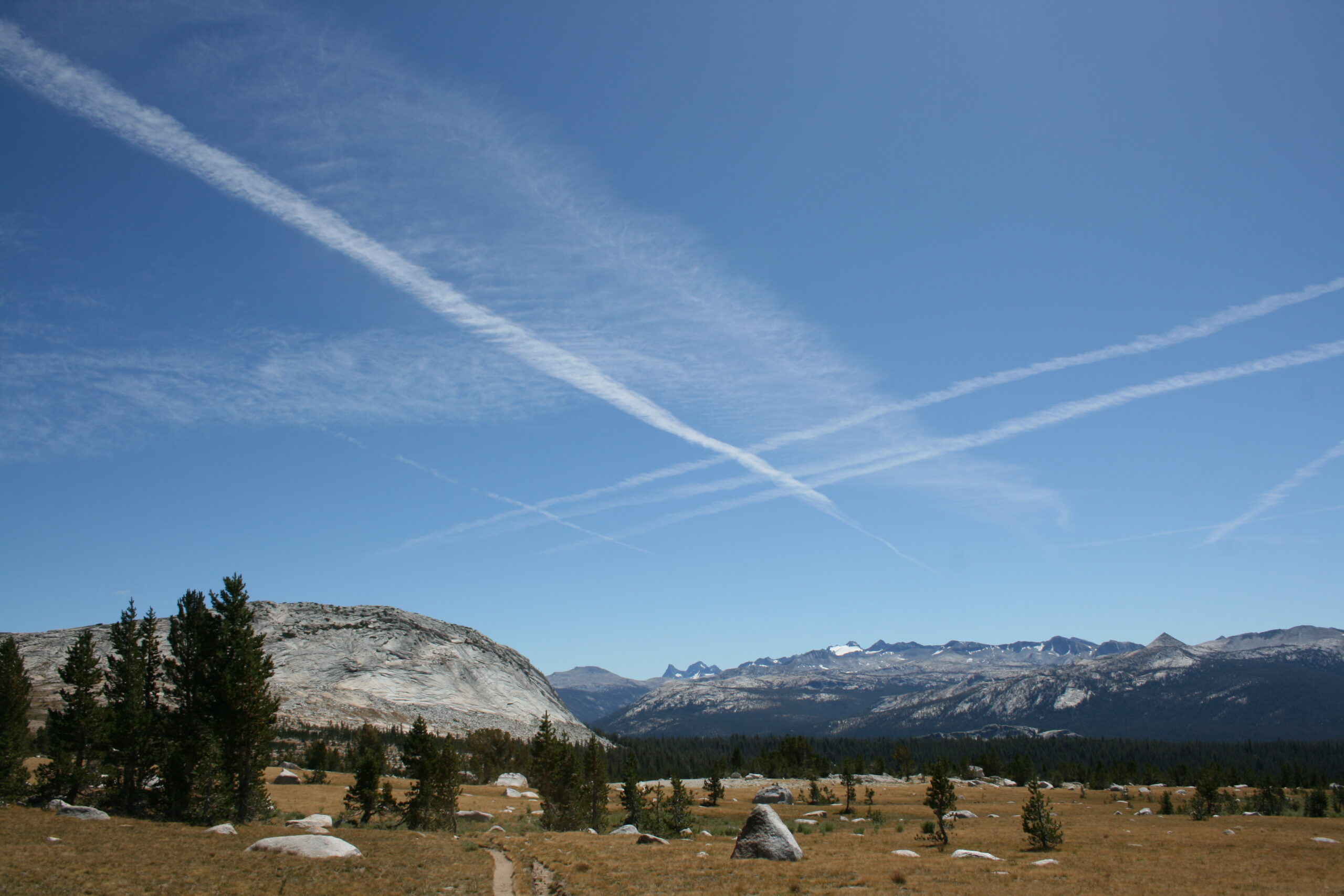 Meadow view in Tuolumne Meadows