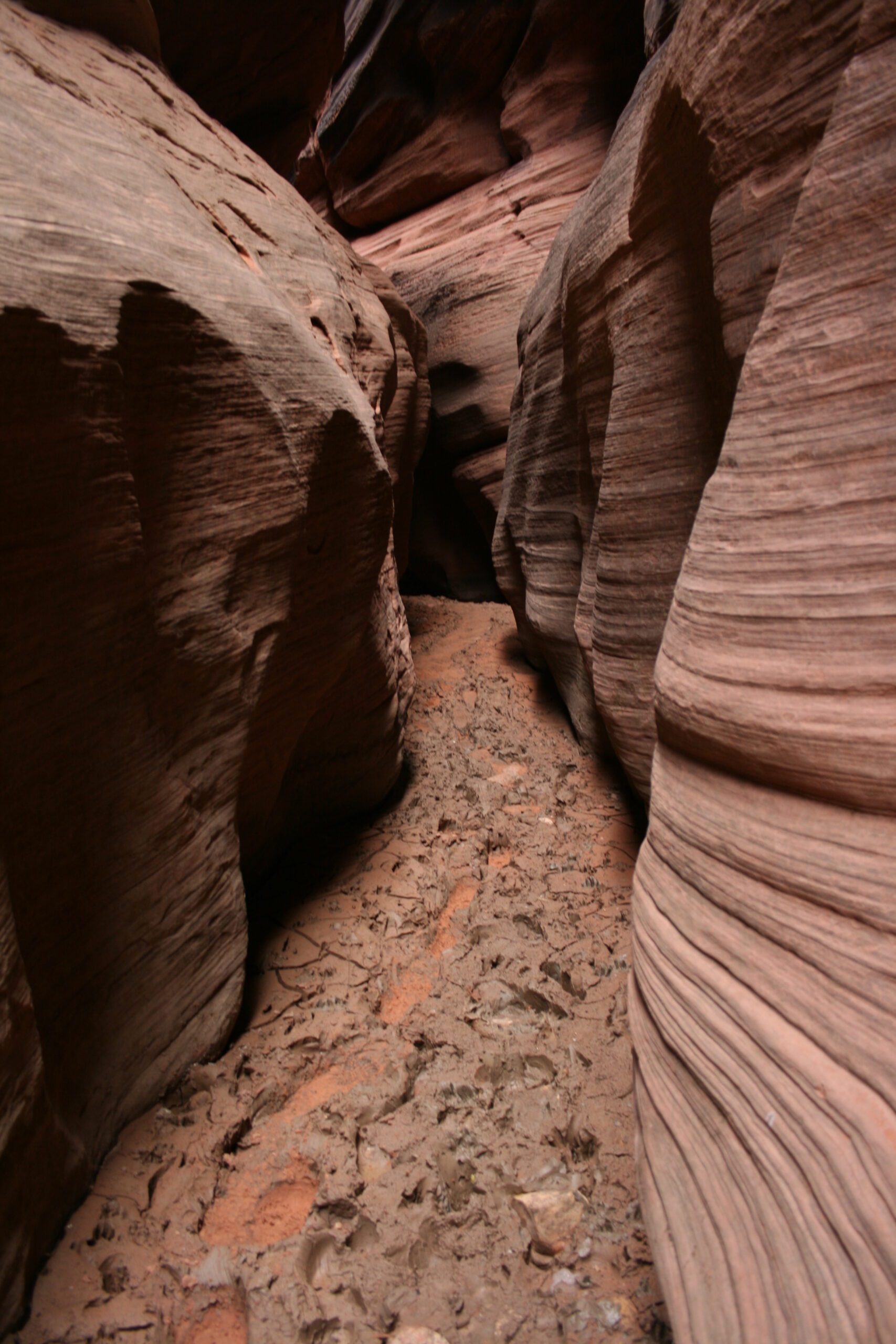 Sticky mud pools are a common hazard in Buckskin Gulch.