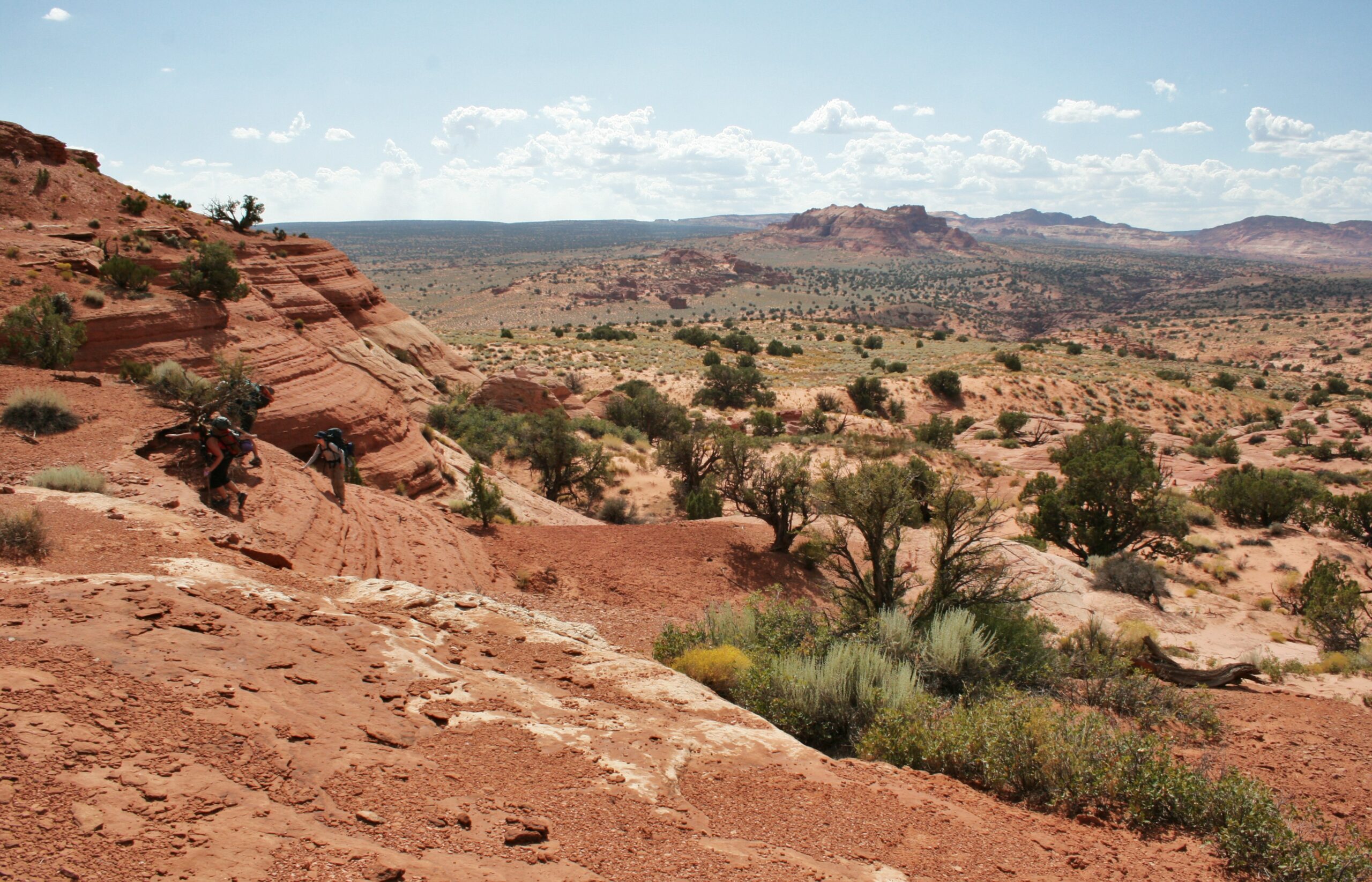 Hikers climb up sandstone formations on the Middle Route near Buckskin Gulch.