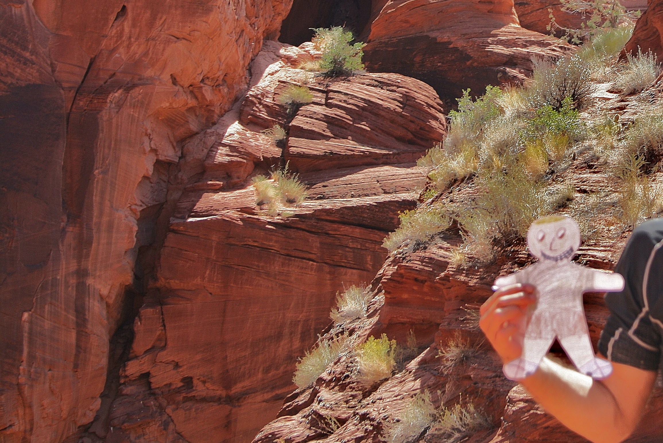 Flat Stanley marvels at the scenery in Buckskin Gulch.