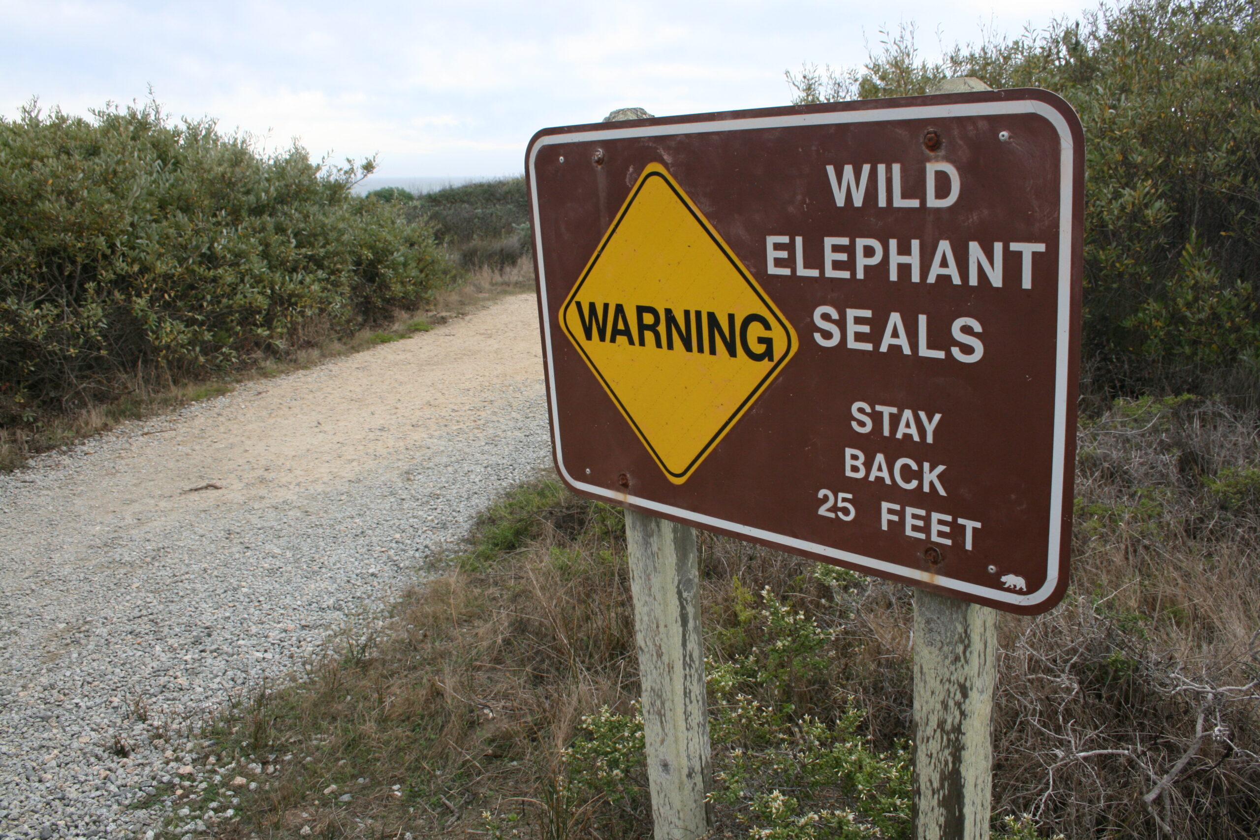 A warning sign about wild elephant seals greets visitors in Año Nuevo State Reserve.