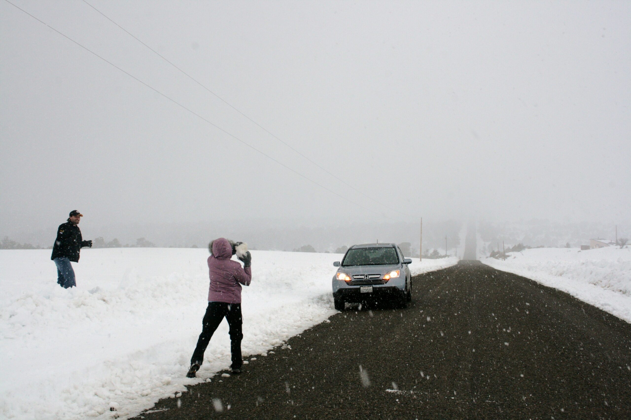 Wendy readies a snowball for snowmageddon.