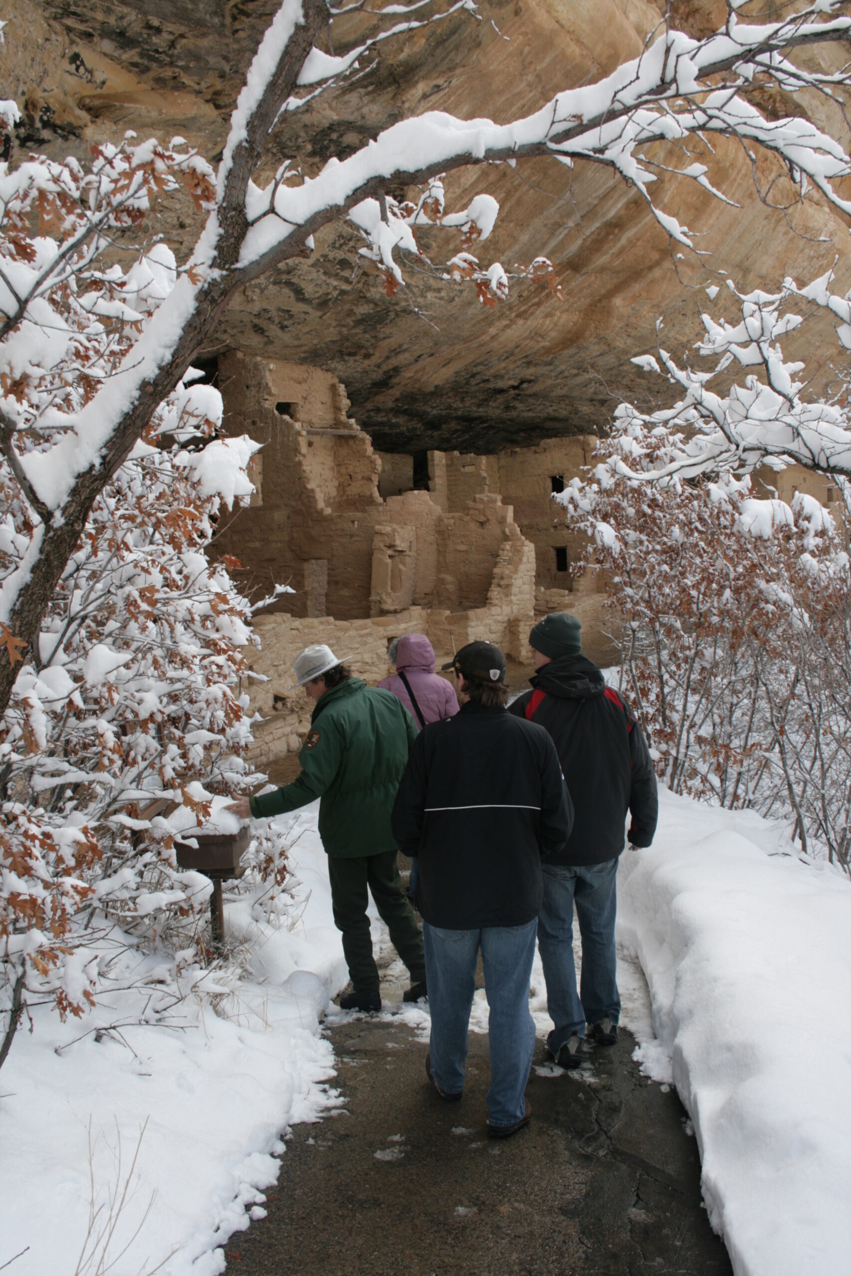 Ranger Craig guides Park visitors toward Spruce Tree House in Mesa Verde National Park.