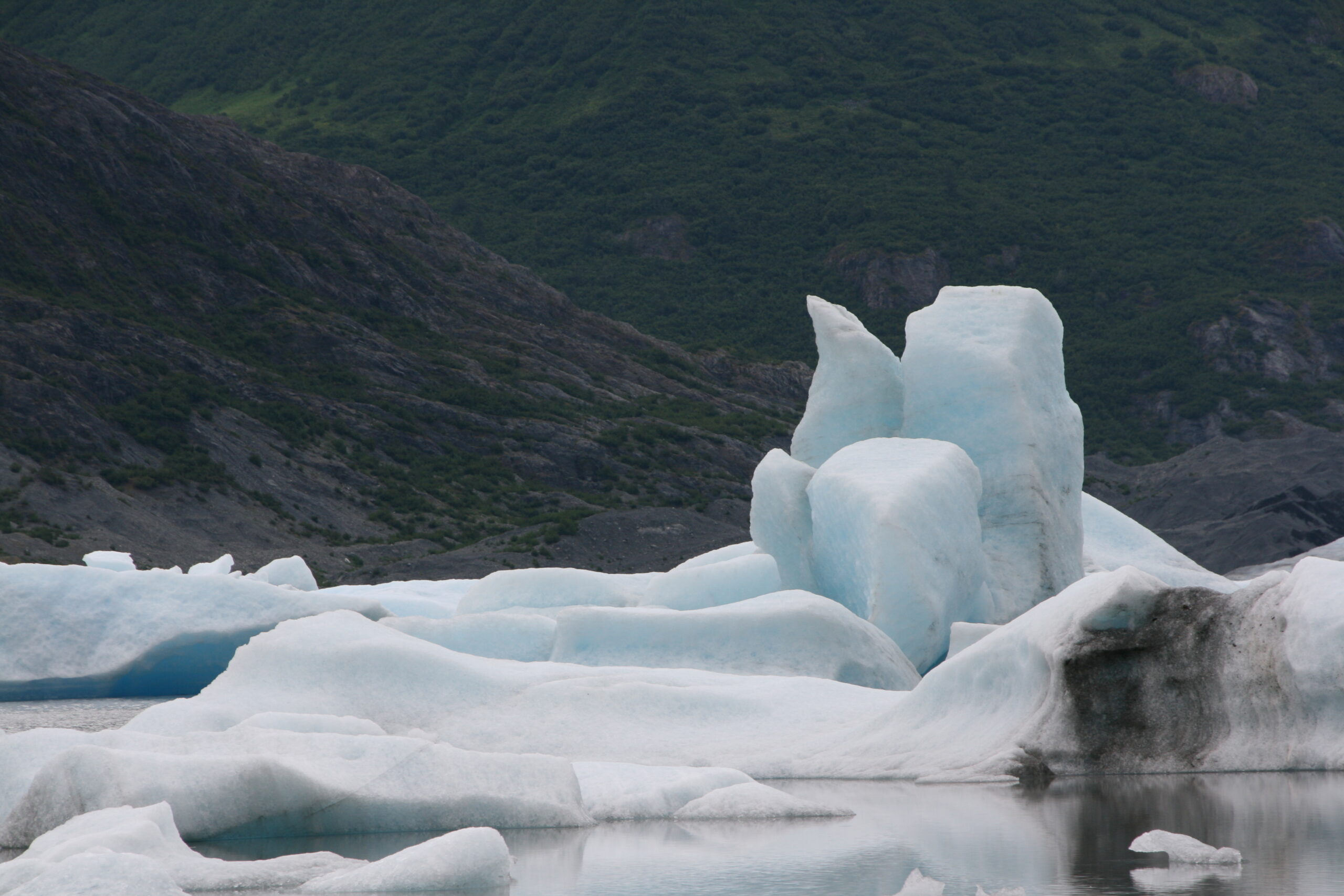 Ice chunks float in the melt of Spencer Glacier.