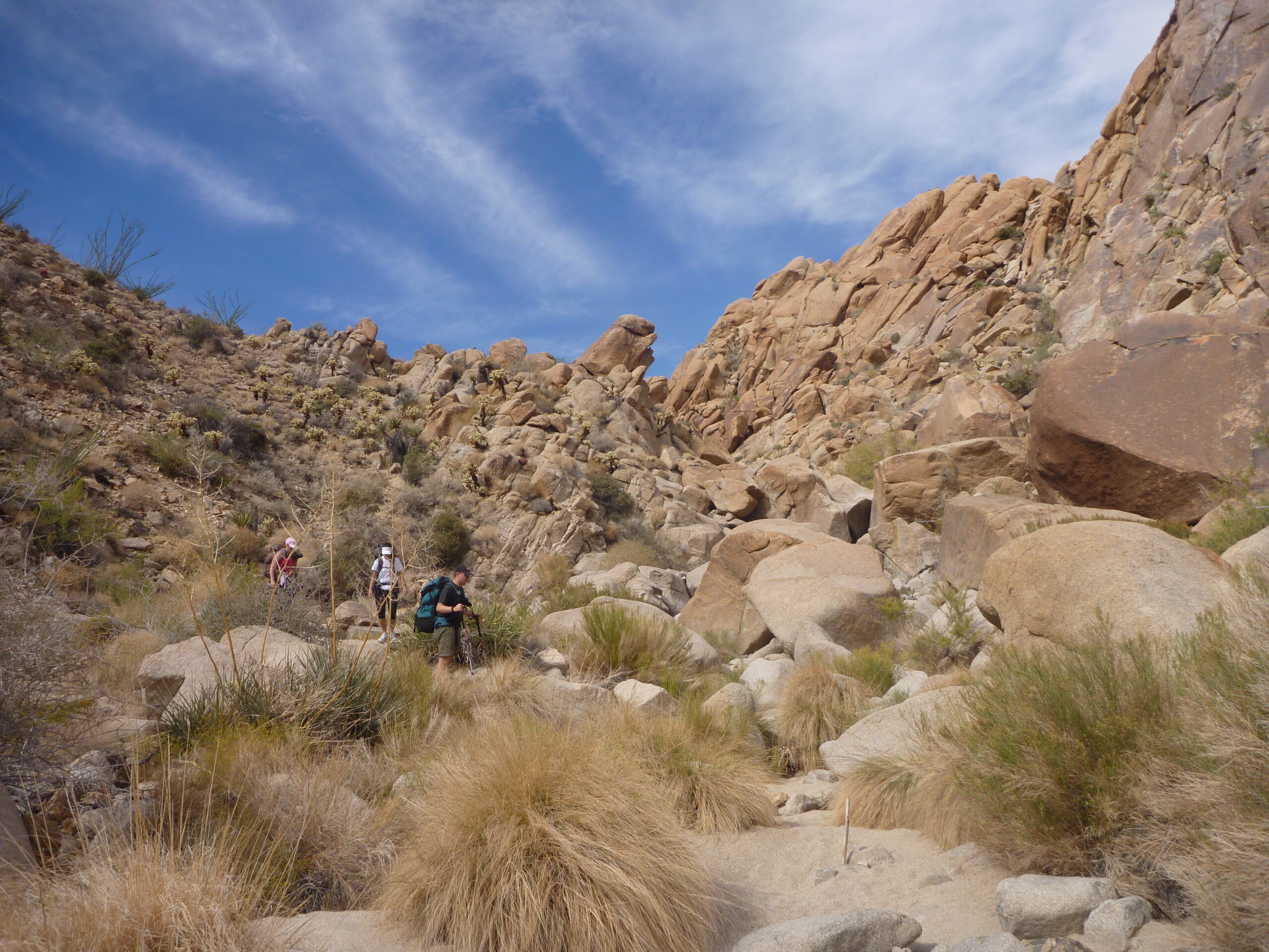 Hikers make their way across a ridge in Joshua Tree.