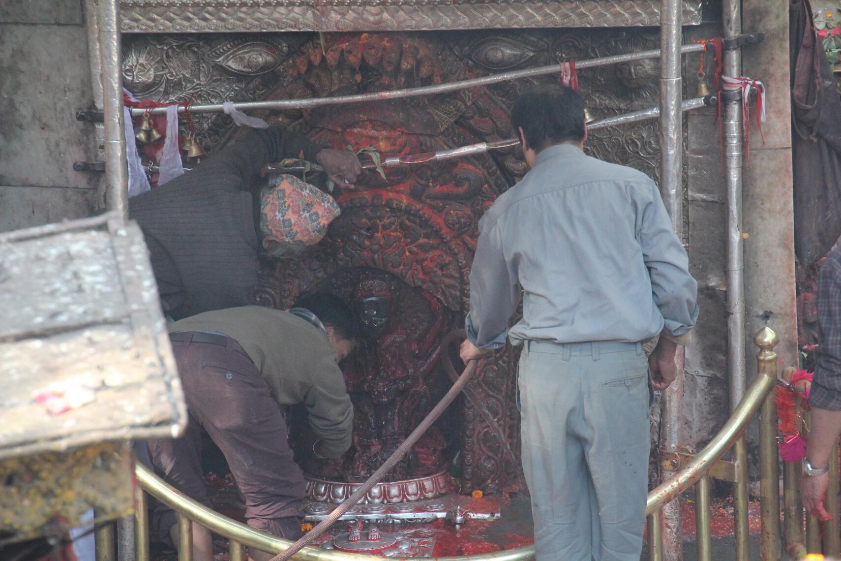 Workers clean the blood-covered statue and temple of Kali.