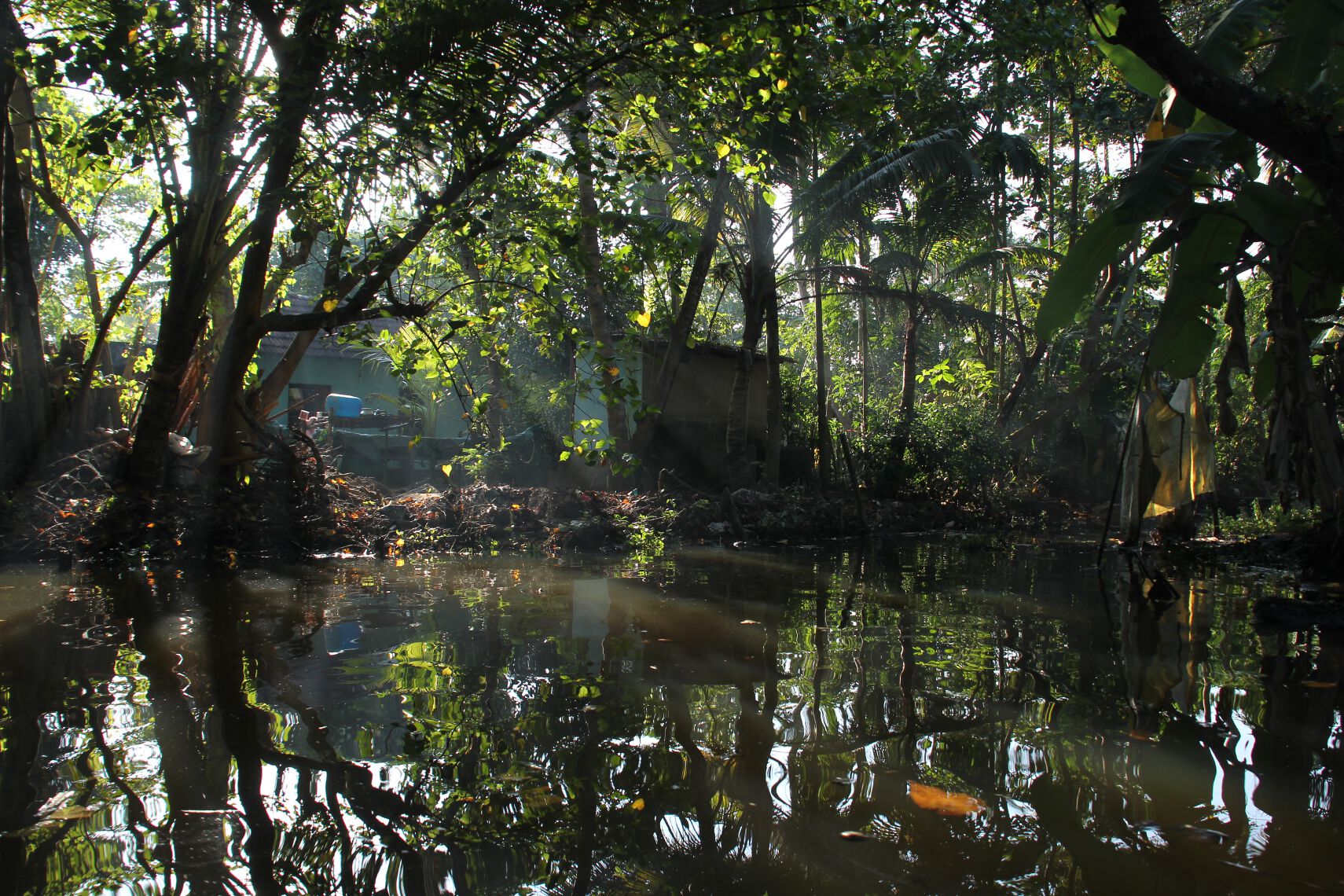 Few avoid being charmed by the Backwaters of Kerala, India.