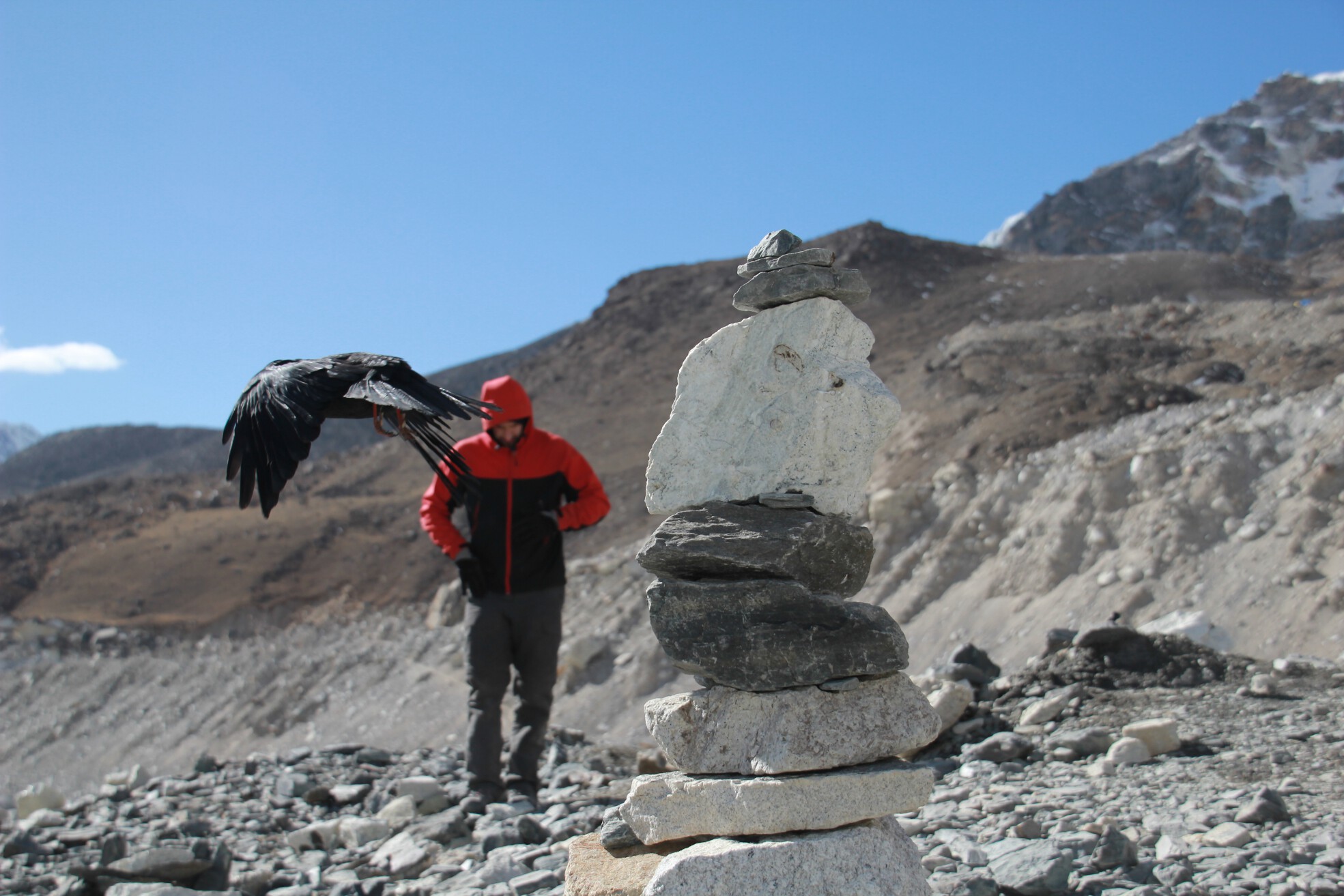 Hank, feeling ill, walks toward Everest Base Camp behind a flying bird.