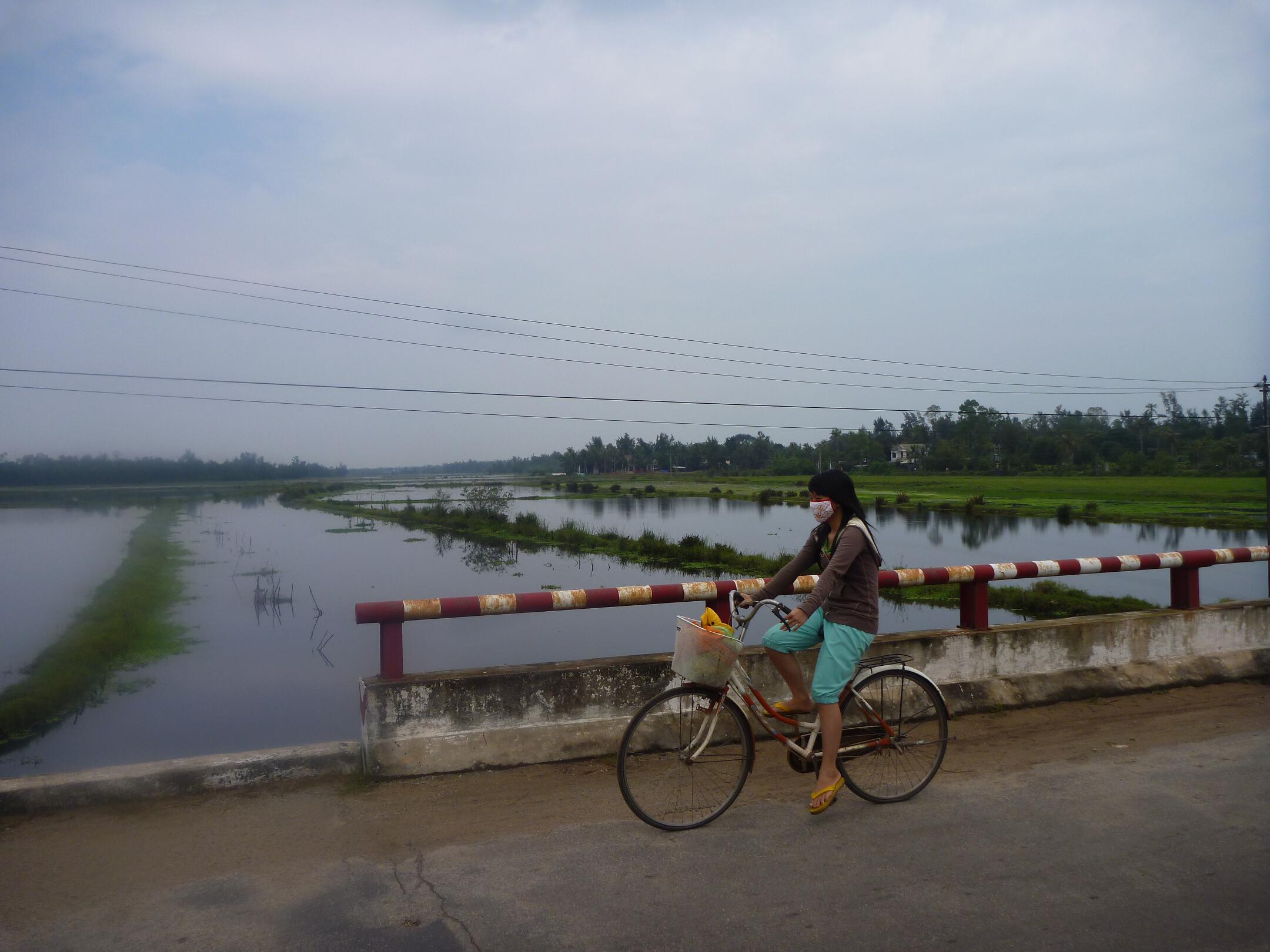 A woman rides a bicycle near a ride paddy near Hoi An, Vietnam.