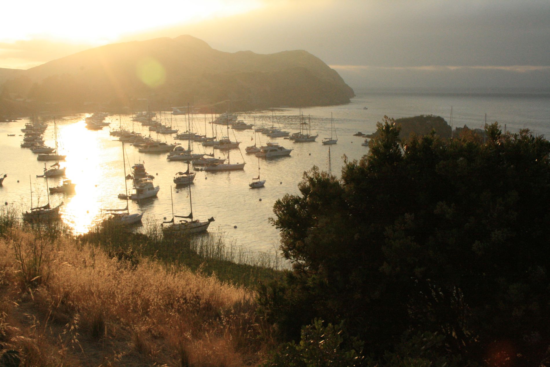 A view of Catalina Island's Emerald Bay (photo by Wendy Eckersley)