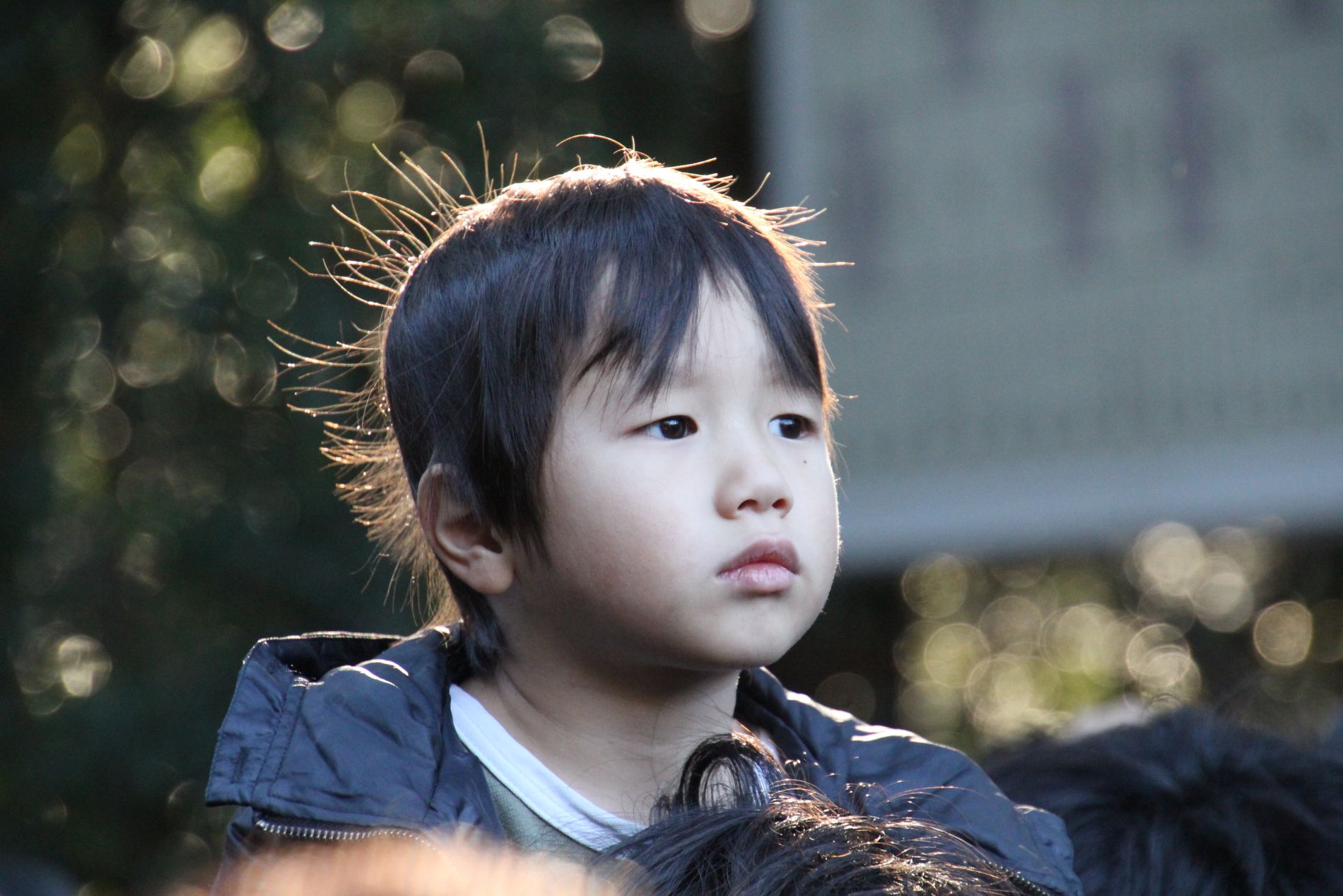 A Japanese boy sits on his father's shoulders, waiting to enter the Meiji Jingu Shrine.