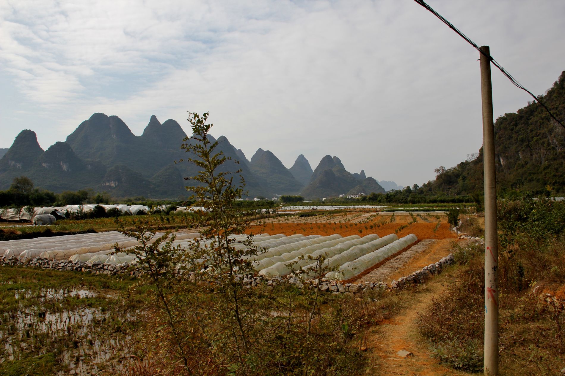 Plastic covers protect crops from cold weather in front of karsts near Yángshuò, GuÄƒngxÄ«, China.