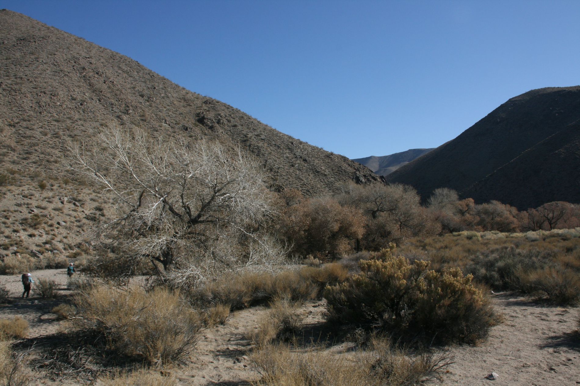 Hikers approach Cottonwood Springs in Death Valley.