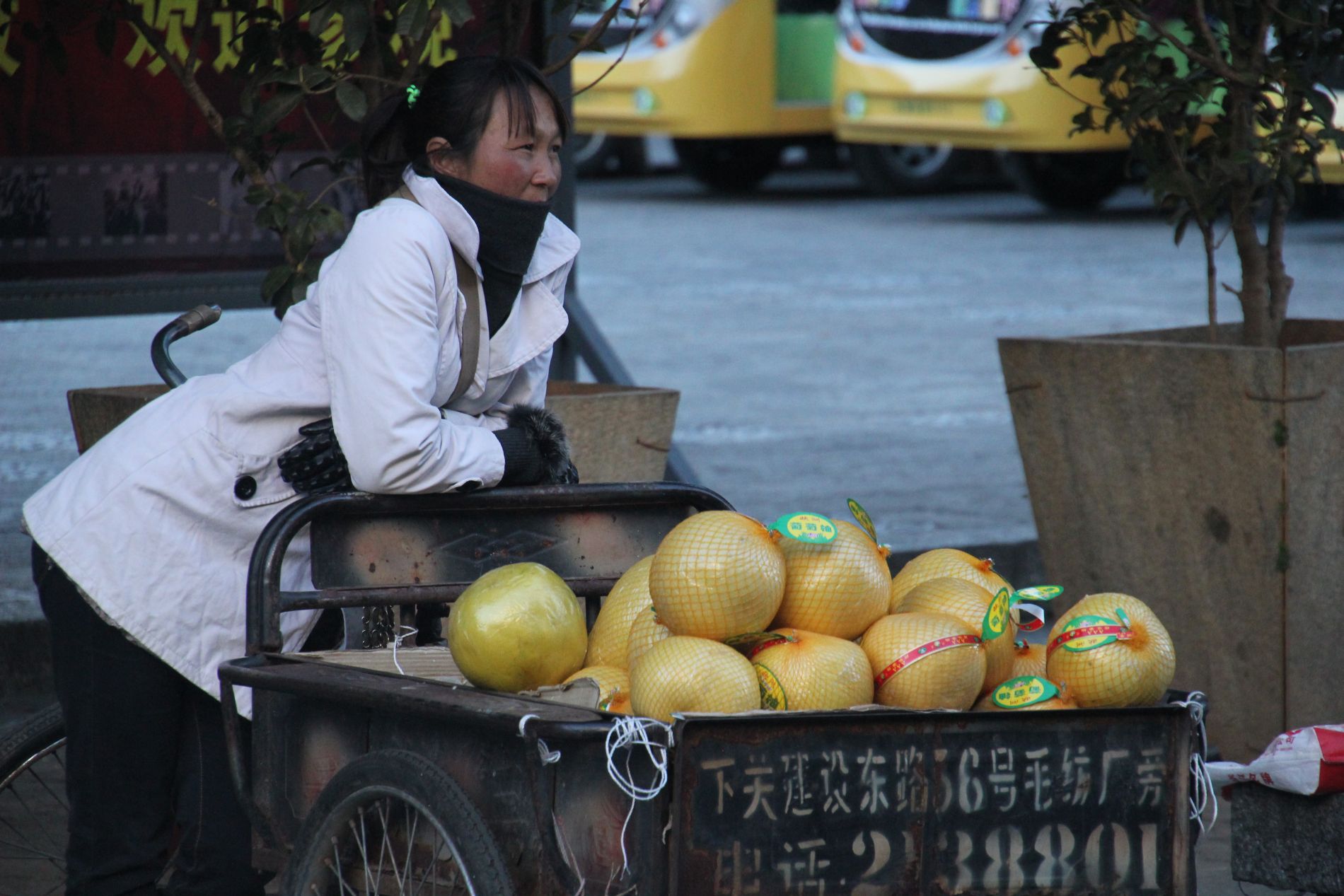 A woman sells fruit in DàlÇ??, China.