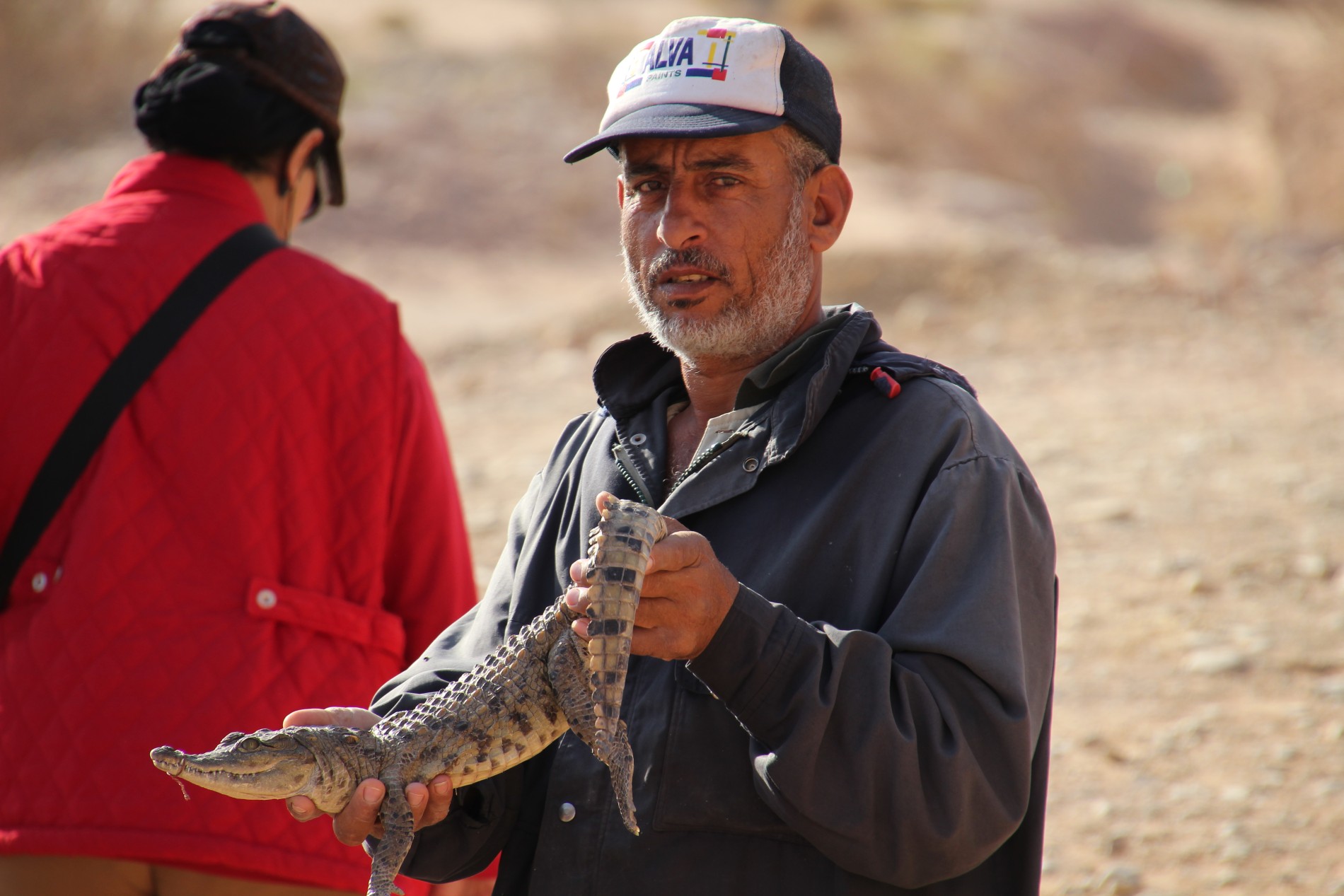 An Egyptian man tempts tourists with a crocodile near the Temple of Amada in Nubia, Egypt.