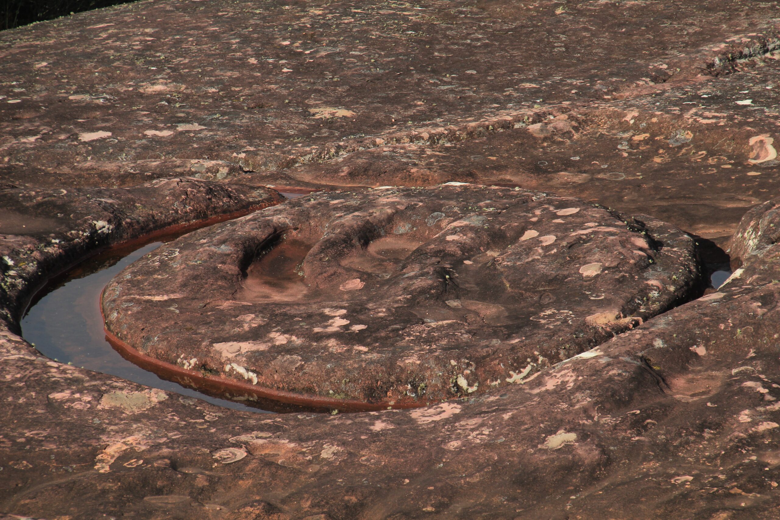 A large high-relief-carved jaguar can be seen in the ruins of El Fuerte de Samaipata in Bolivia.