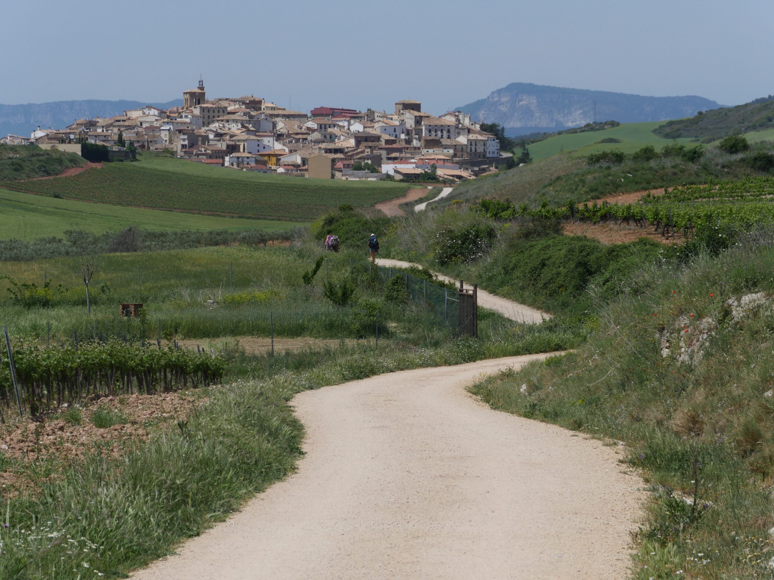 The town of Cirauqui, Spain sits among grape vineyards.