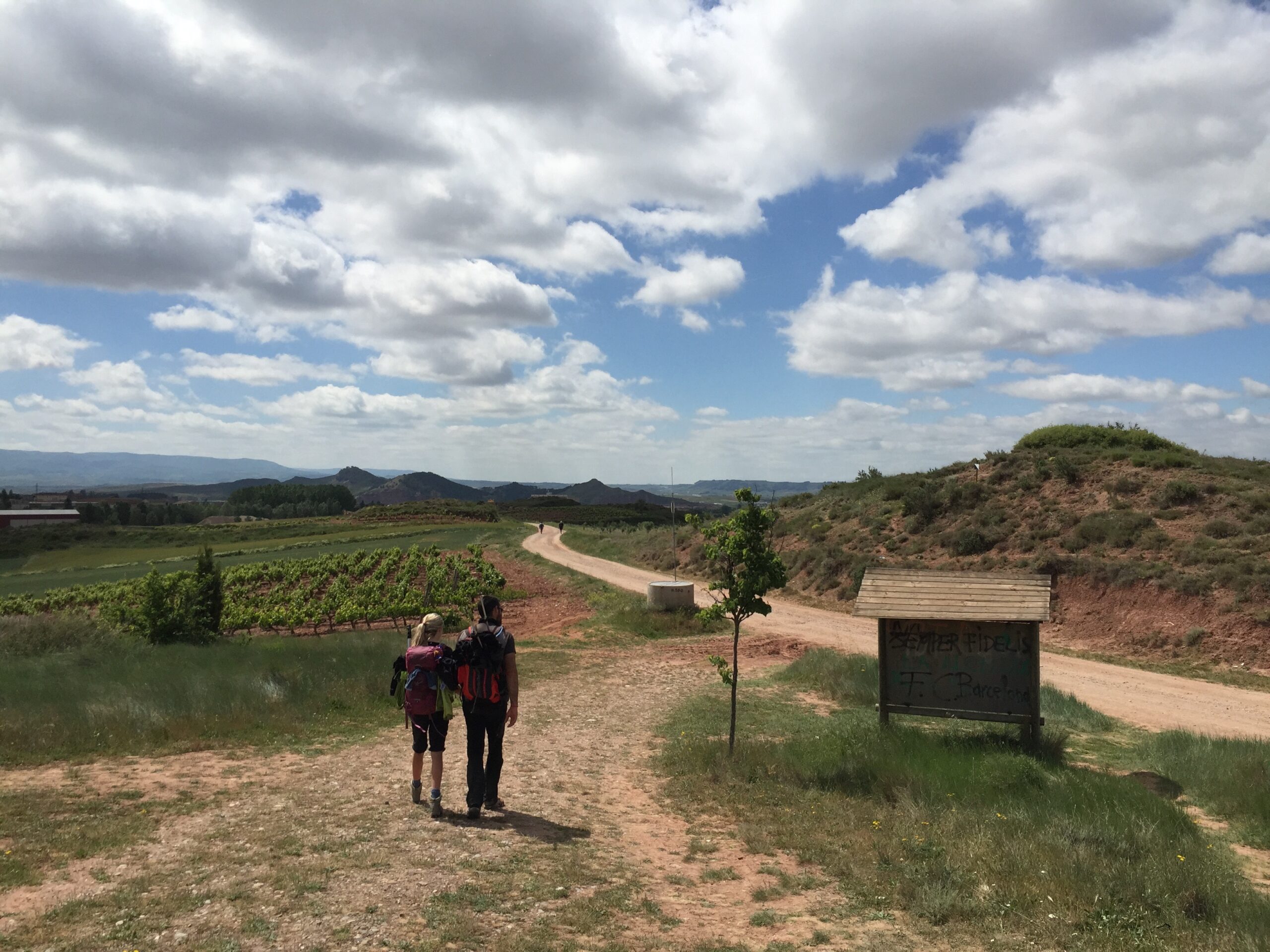 Hannah and Arnaud walk hand-in-hand on the way to Nájera, Spain on the Camino de Santiago.