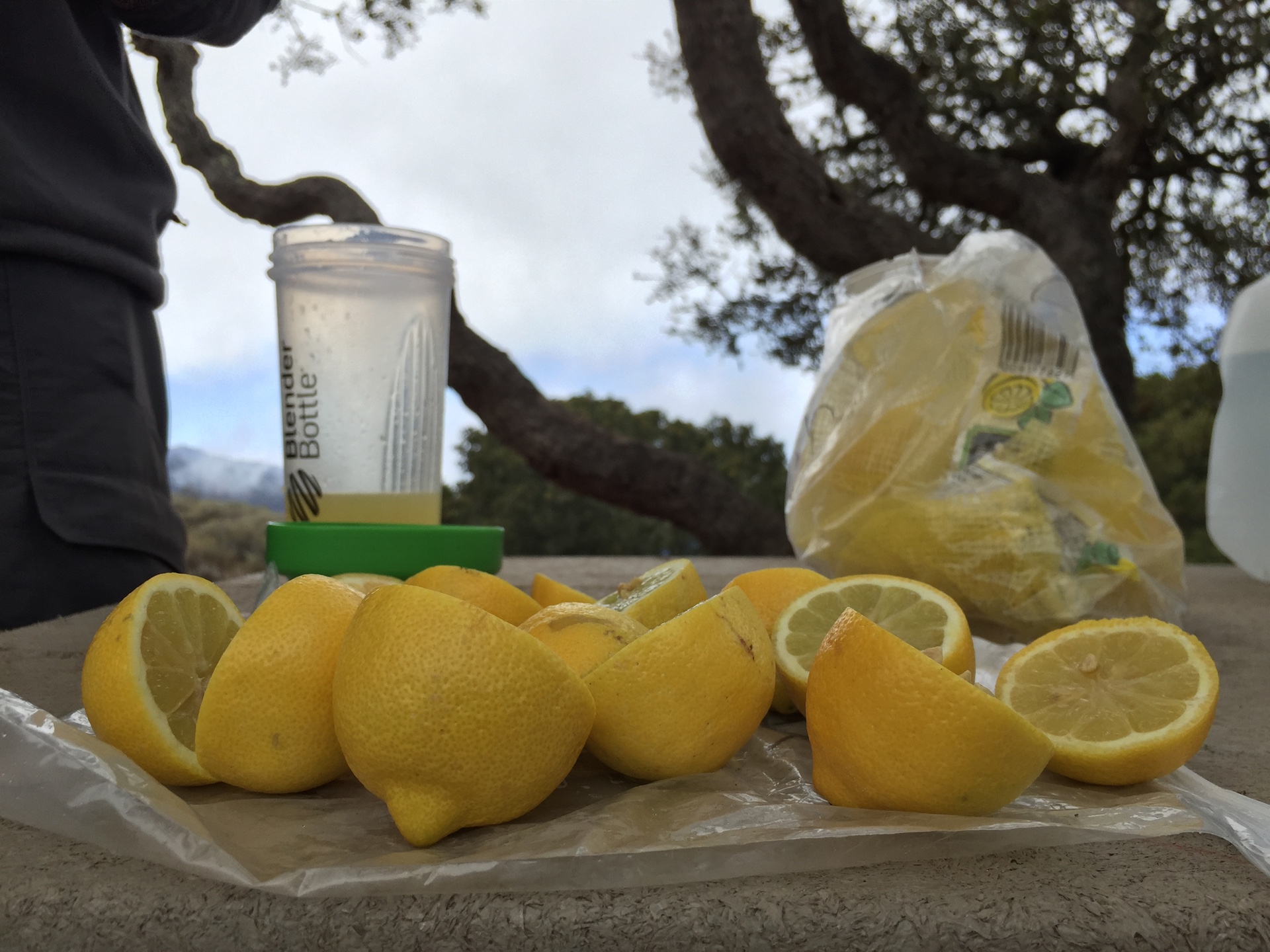 Lemons sit at Del Norte Campground on Santa Cruz Island to be used for July 4 craft cocktails.