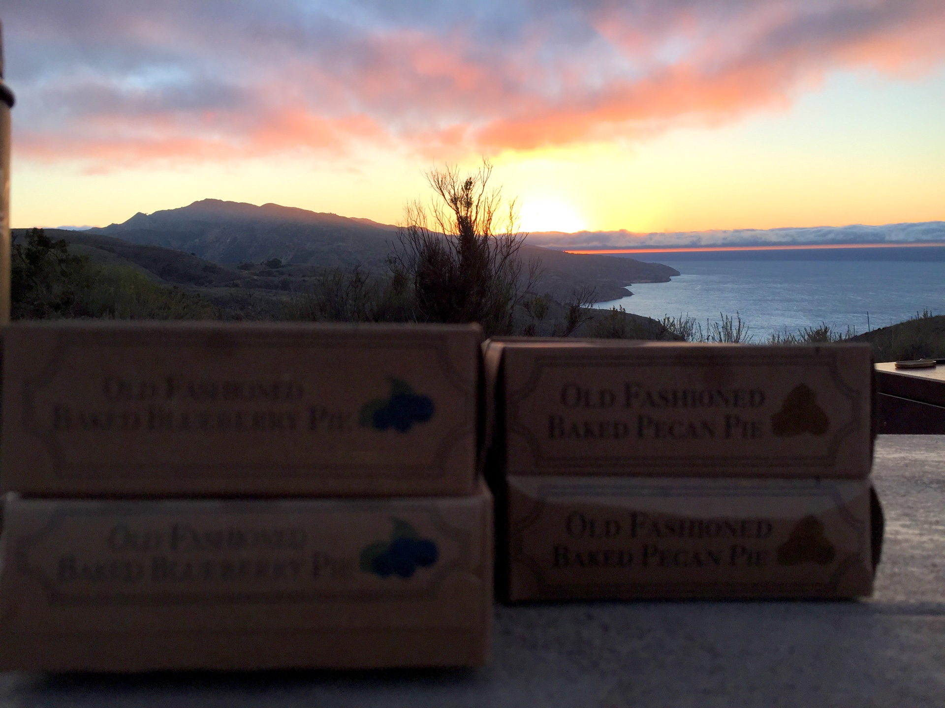 Miniature pies sit at the Del Norte Campground at sunset on Santa Cruz Island, California.