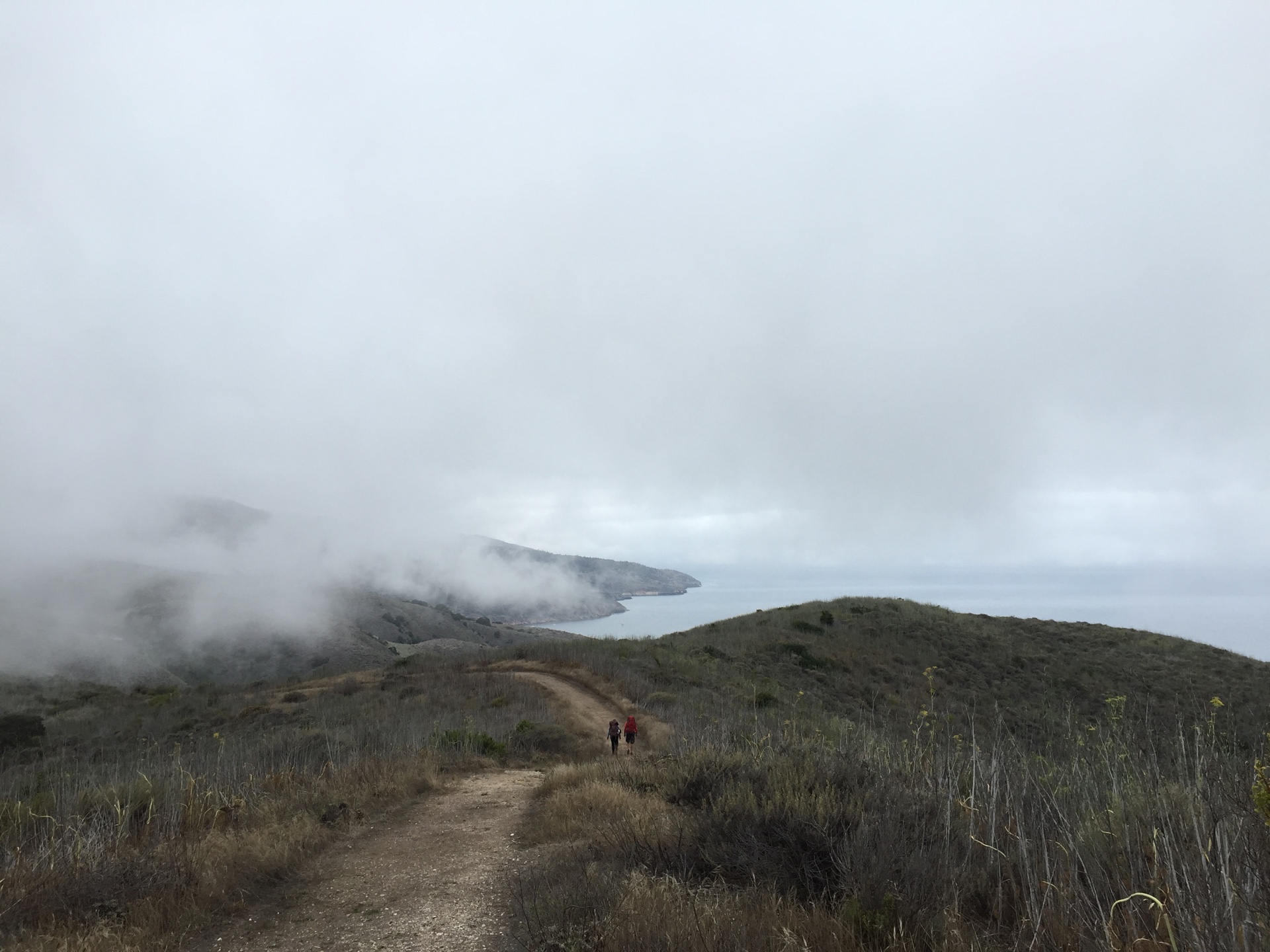 In fog, hikers walk on the trail to Del Norte Campground on Santa Cruz Island, California.