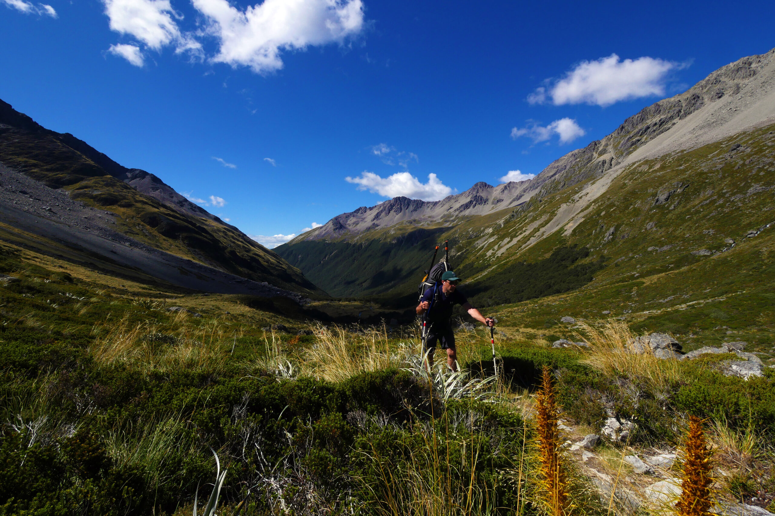 Hiking up Travers Saddle is just a warmup for the challenging climb up Waiau Pass farther down the trail.