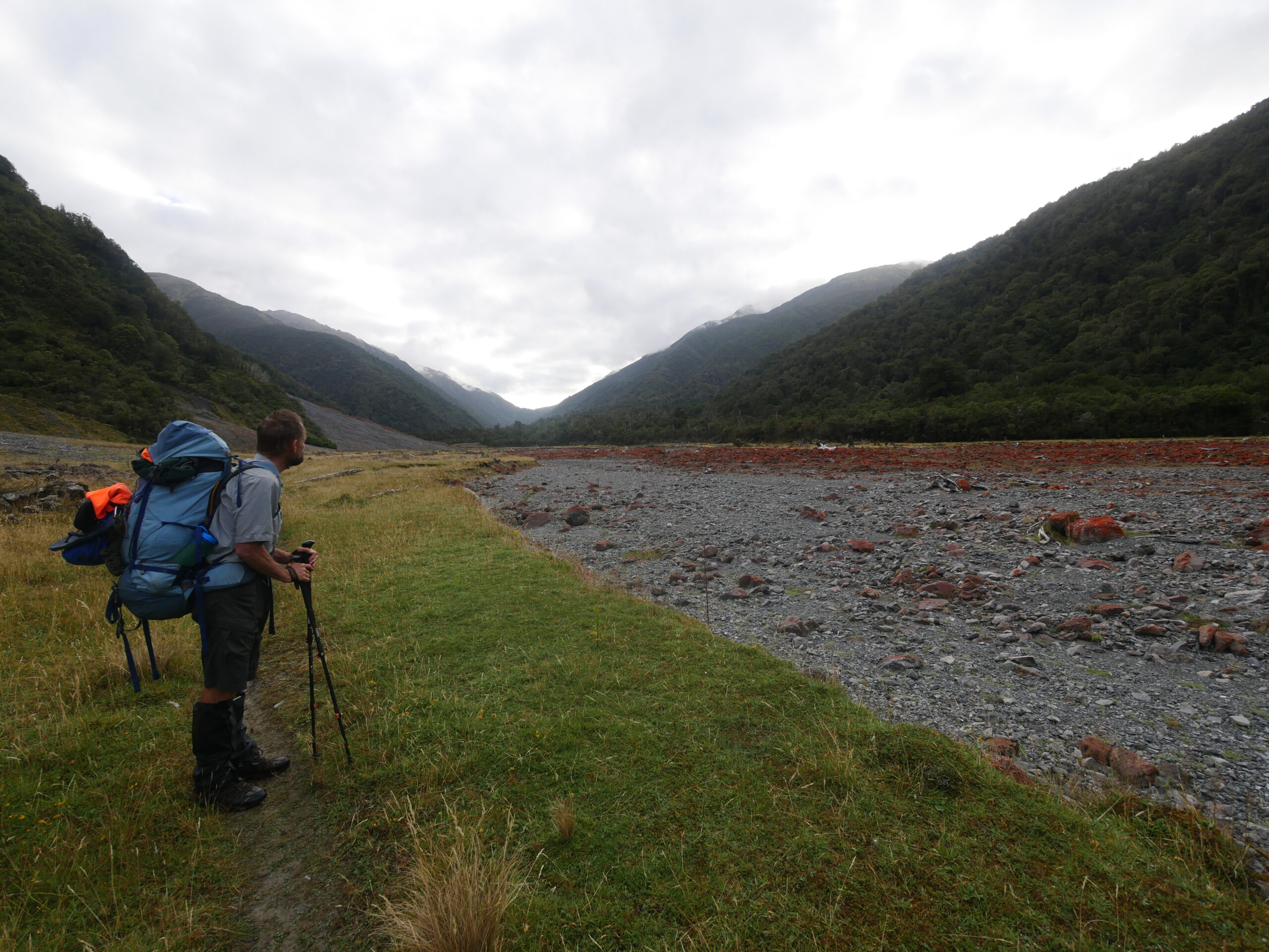 A hiker looks at rocks covered in red, Irish moss in the Taramakau River in Arthur's Pass National Park.