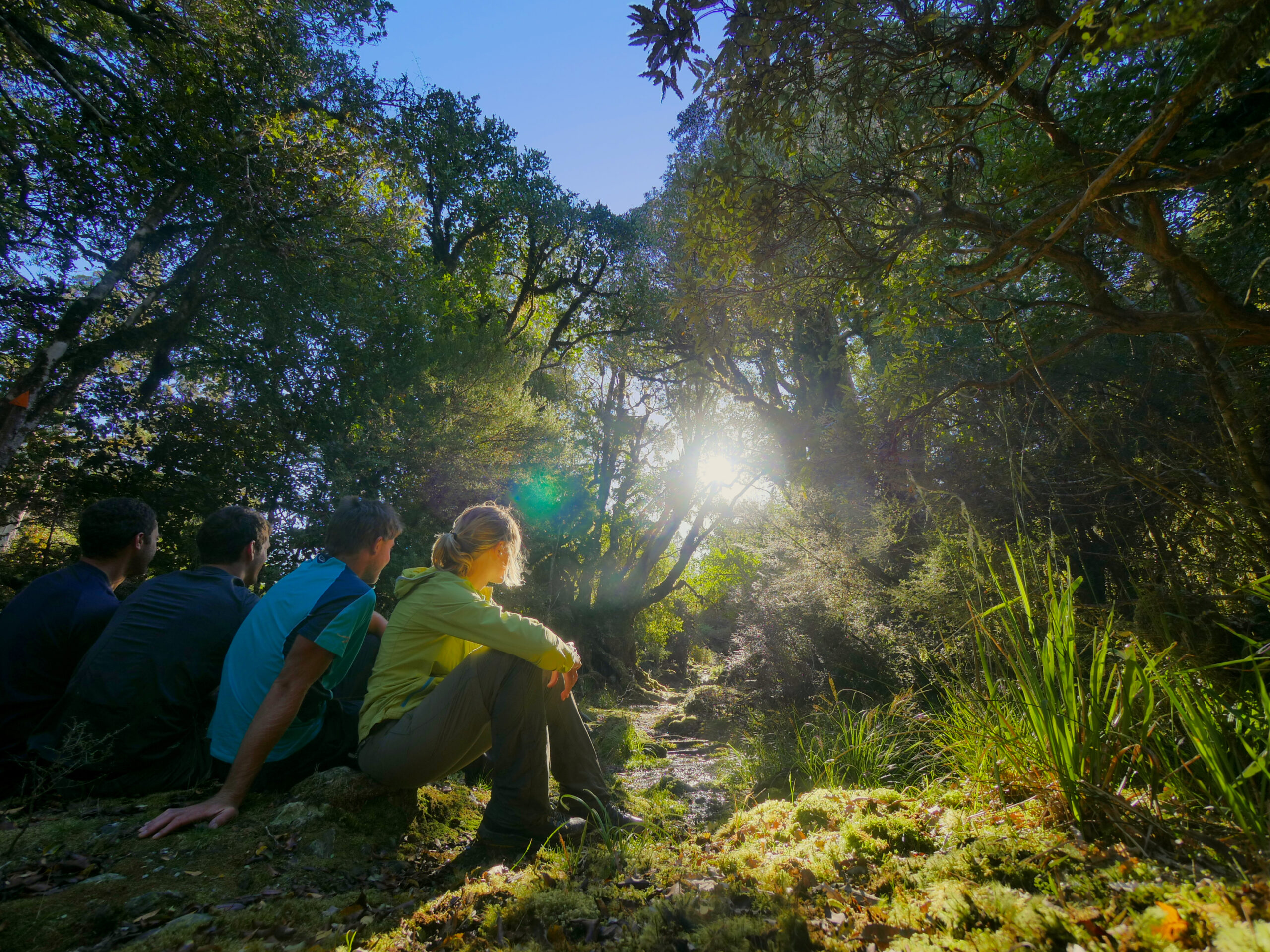 The French Trio and I sit under a tree canopy on the trail to Grassy Flats Hut near Kokathai, New Zealand.