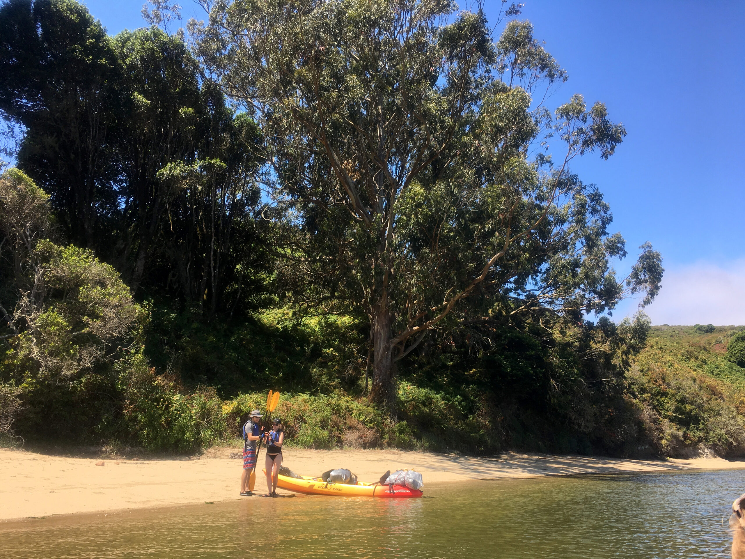 Kayakers get ready to launch from a beach in Tomales Bay, California.