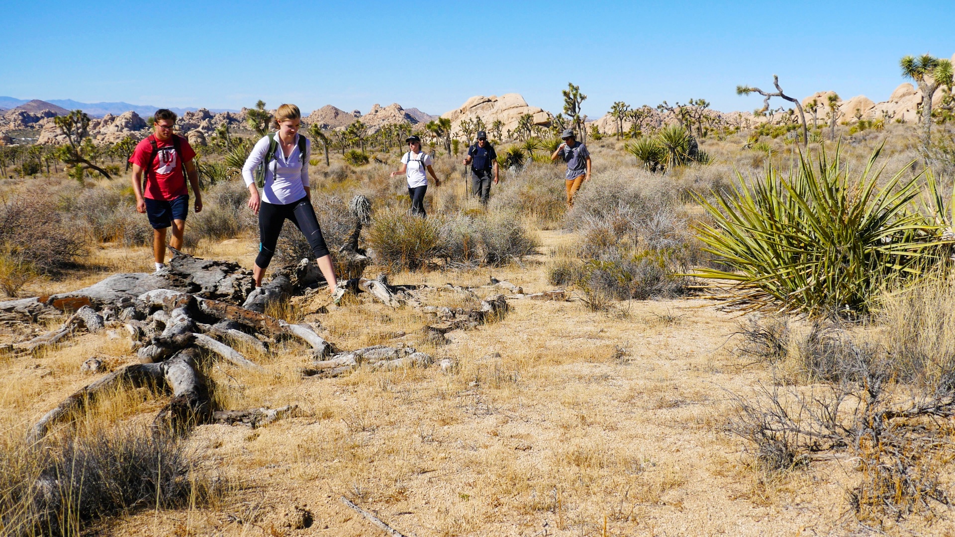 Hikers traverse the desert flats of Joshua Tree National Park.