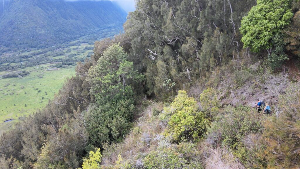 Hikers above Waipio Valley