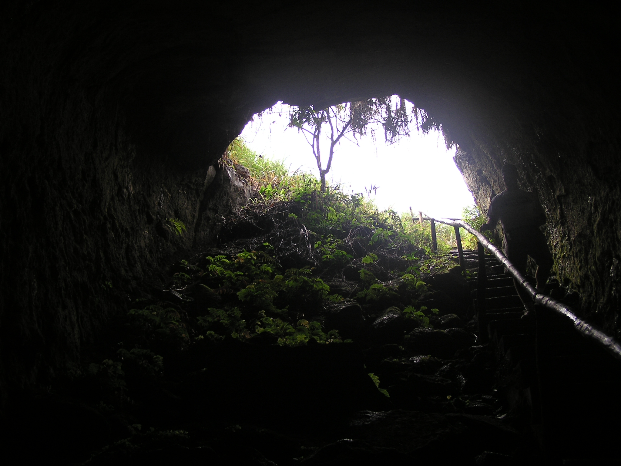 Lava tunnel view on Santa Cruz 2
