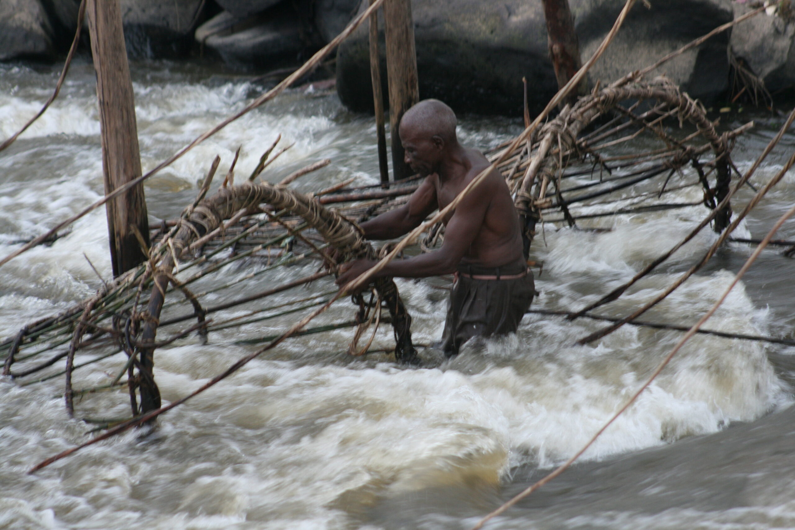 Kisangani Stanley Falls Wagenia fisheries with man working