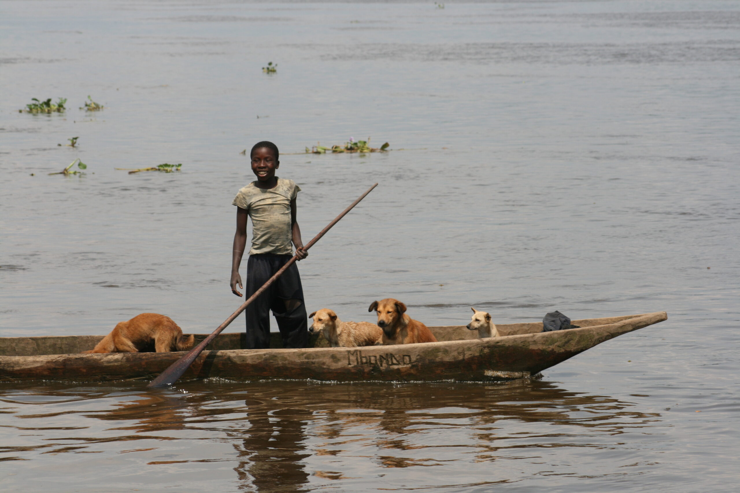 Child with dogs in pirogue