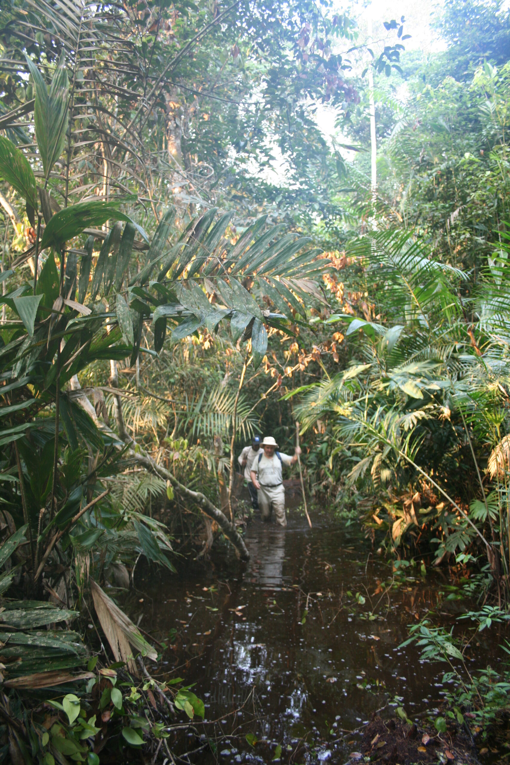 Terence, Paul hiking in Mokonzi jungle