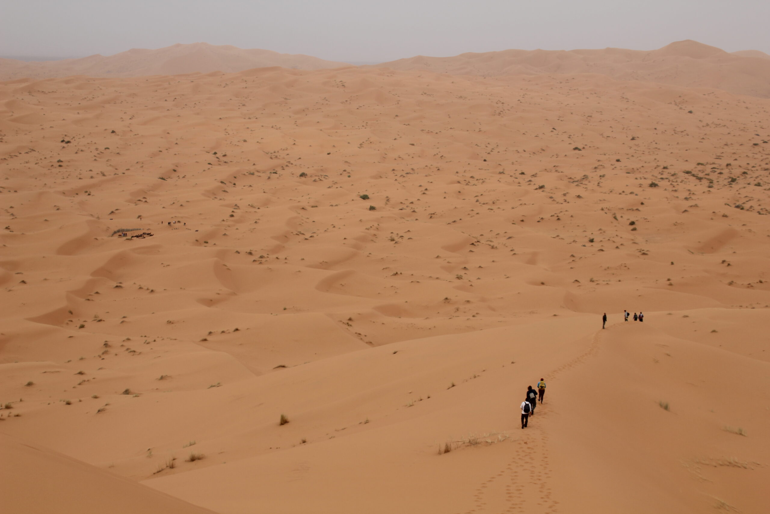 Hikers in Sahara Desert