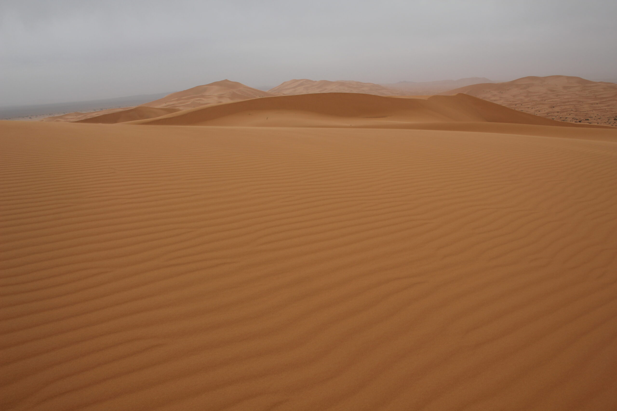 Merzouga Sand Dunes Day Hike