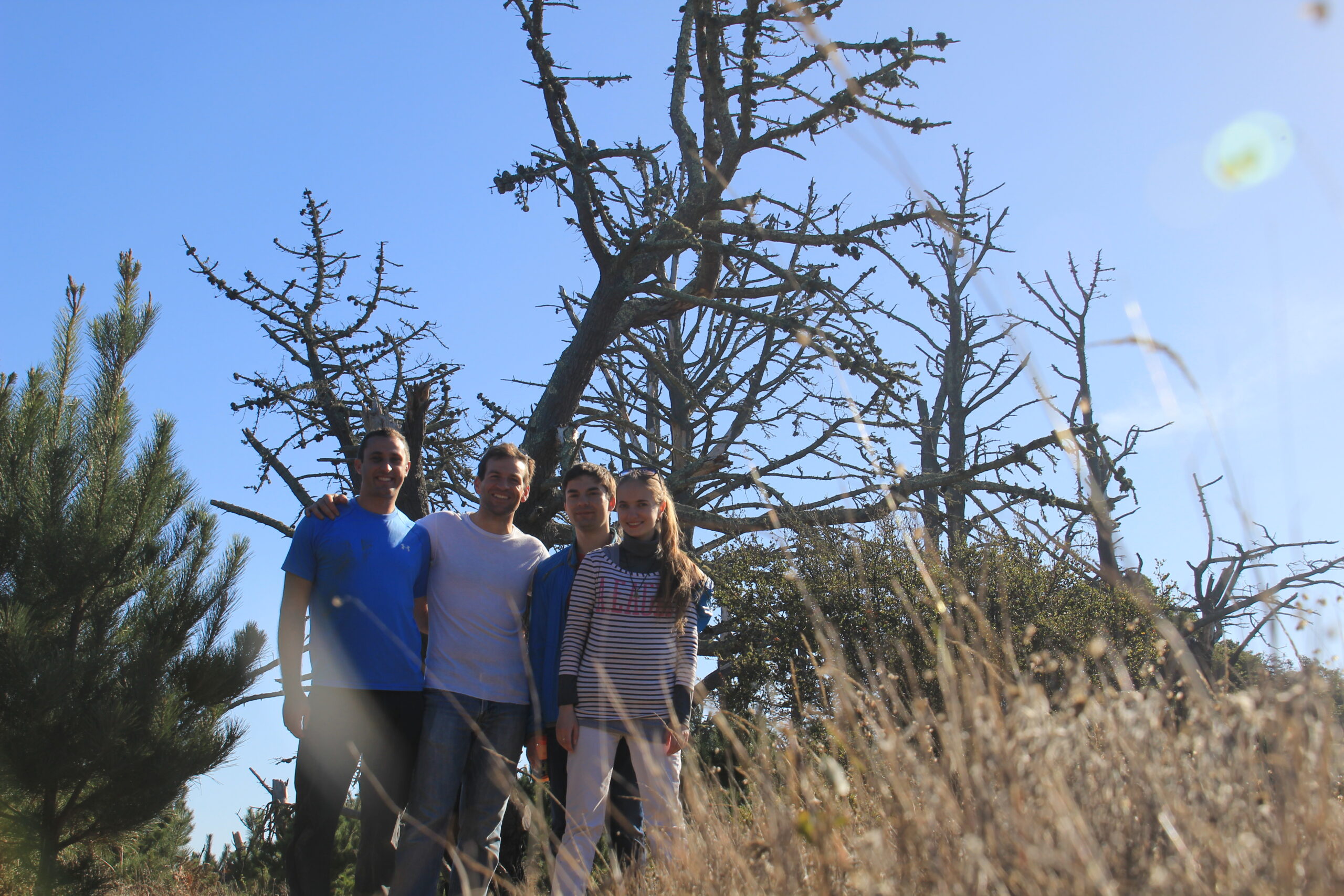 Hikers on Angel Island