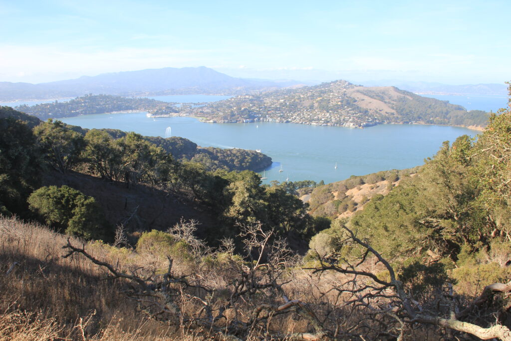 Angel Island view