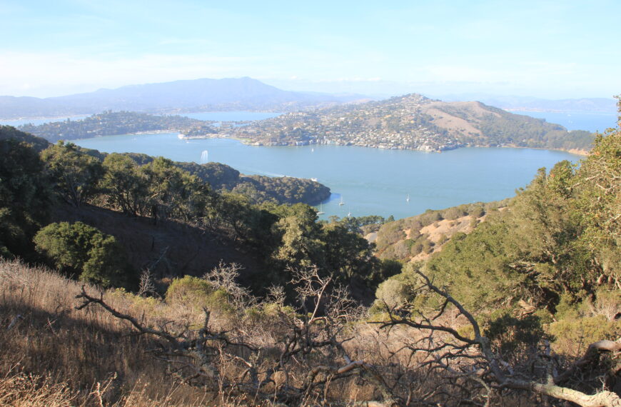 Angel Island view